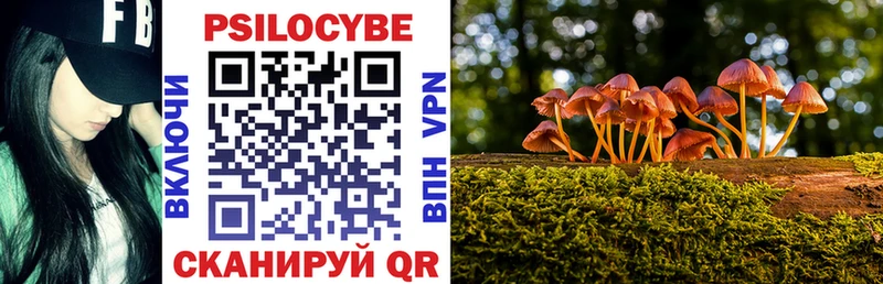 Галлюциногенные грибы Cubensis  Баймак 